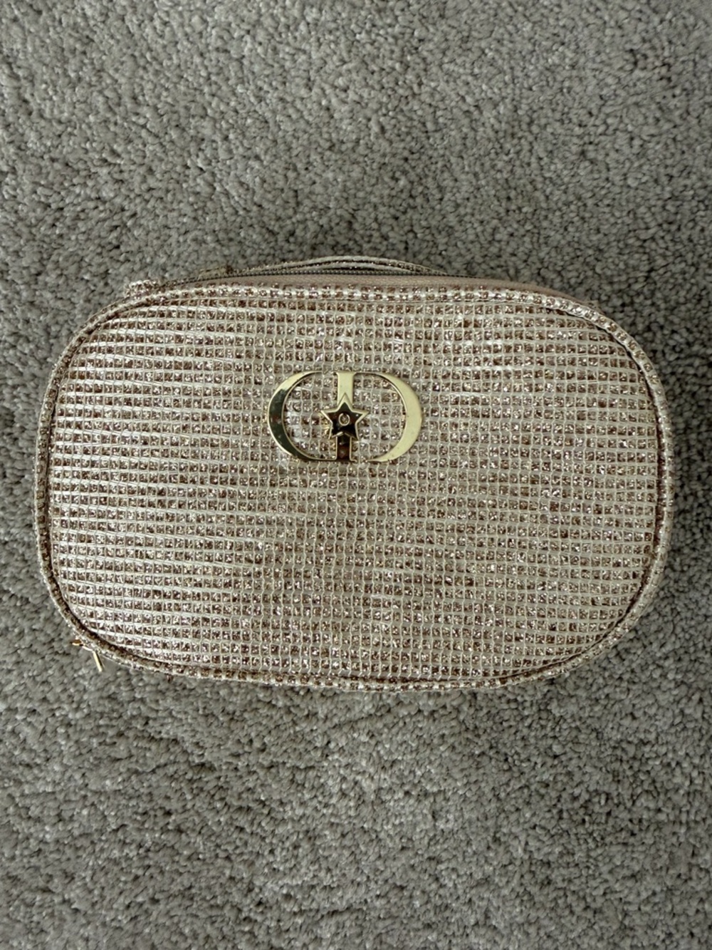 NWT Dior Limited Edition Cosmetic Bag | Gold
